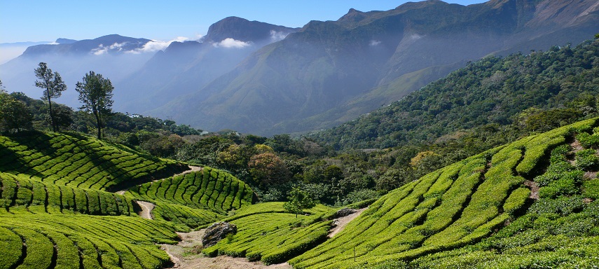 Best Taxi Service In ooty...