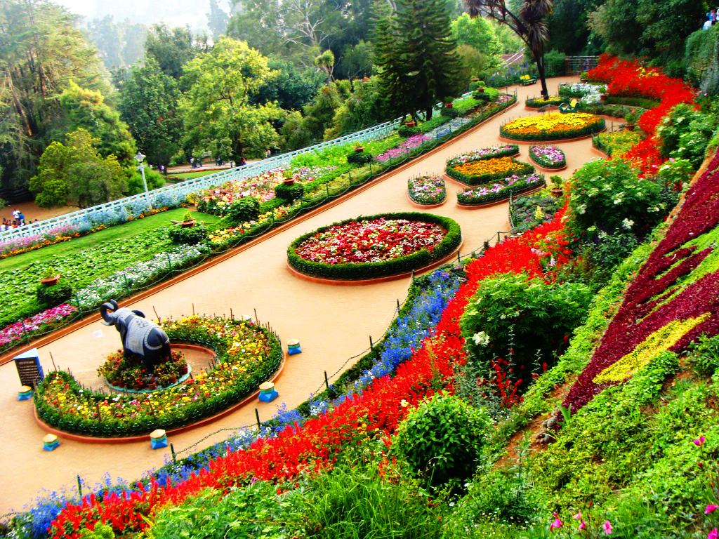 Ooty Taxi Black Berry Holidays