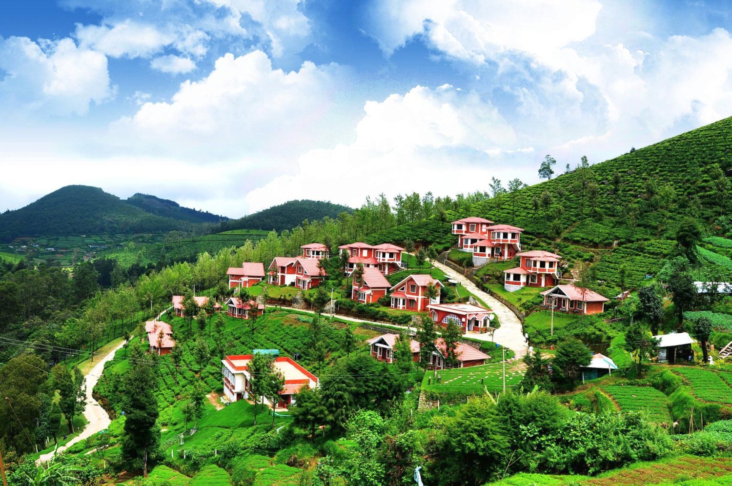 Coonoor Sightseeing Black Berry Holidays