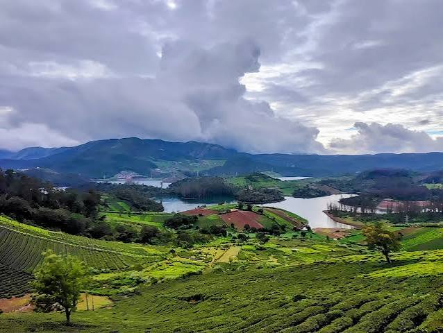 Emerald Lake surrounded by pine forest Nilgiris